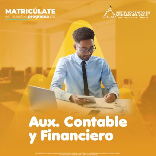 auxiliar contable y financiero copia-100 auxiliar contable y financiero copia-100