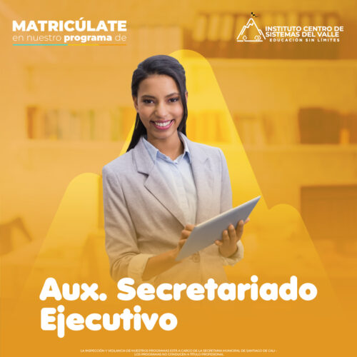 secretariado ejecutivo copia-100 secretariado ejecutivo copia-100